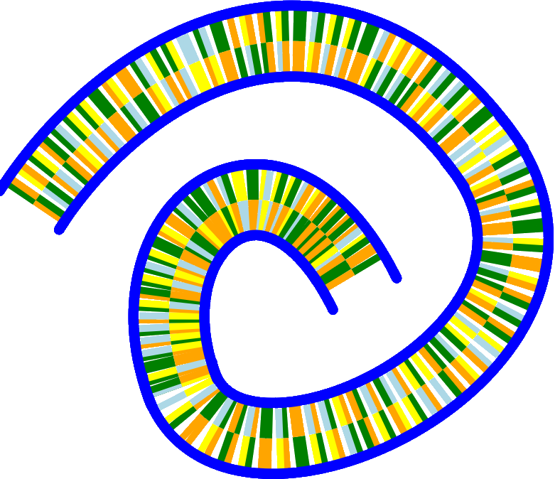 DNA Question